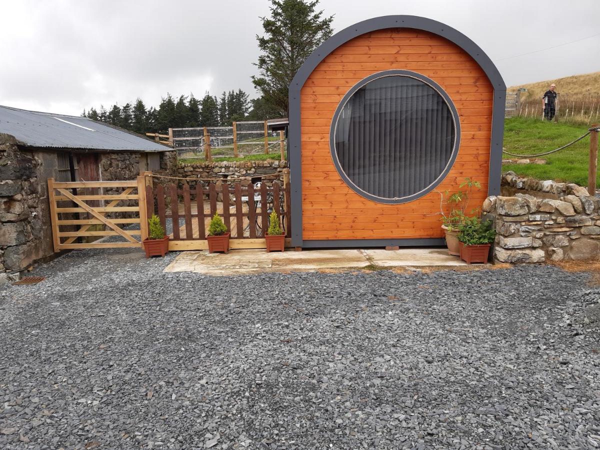 Penystryd Hotell Trawsfynydd Eksteriør bilde